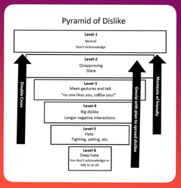 The Other Side of the Friendship Pyramid: Dealing with Dislike